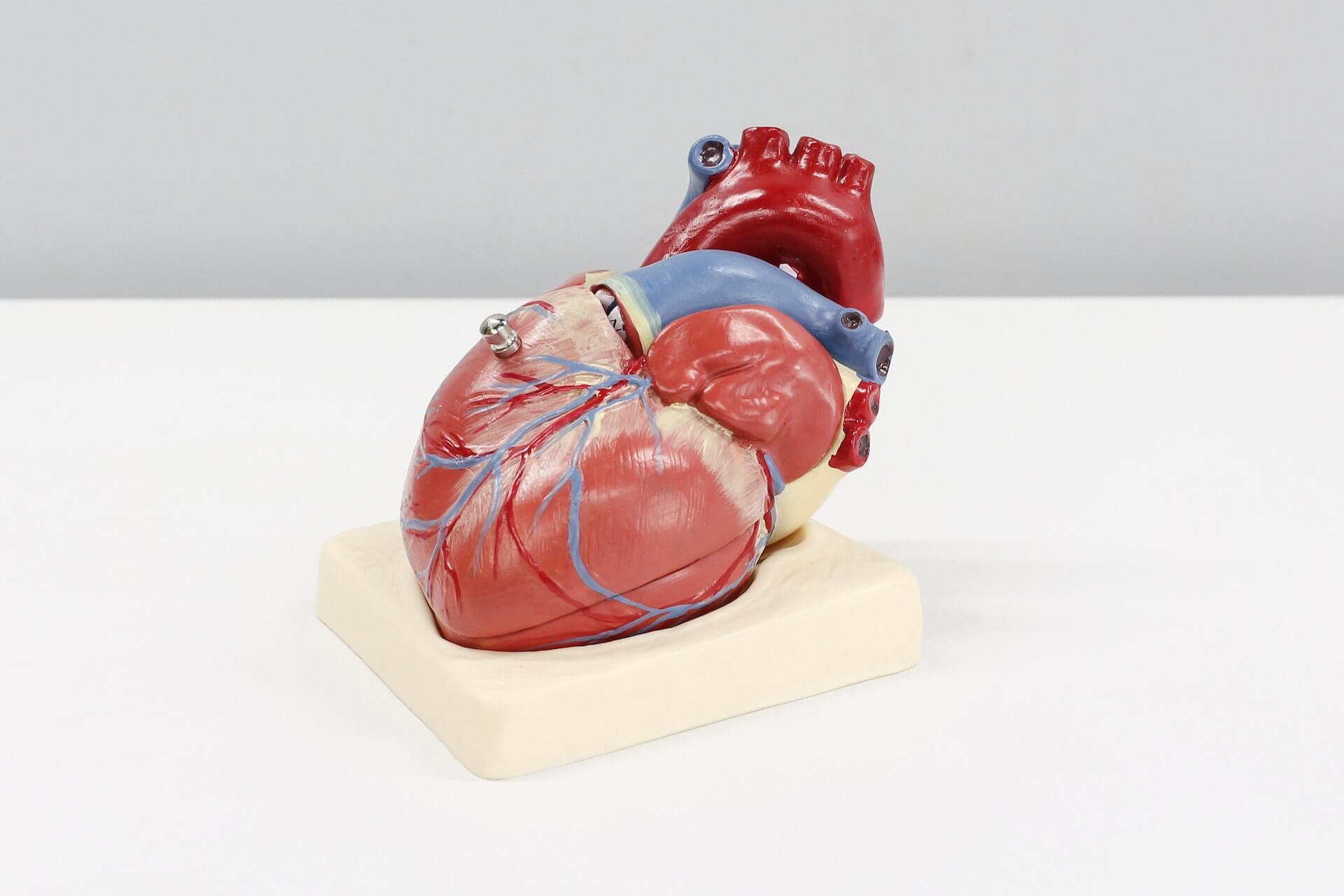 model srdca