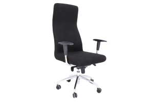 Kreslo REX Plus
